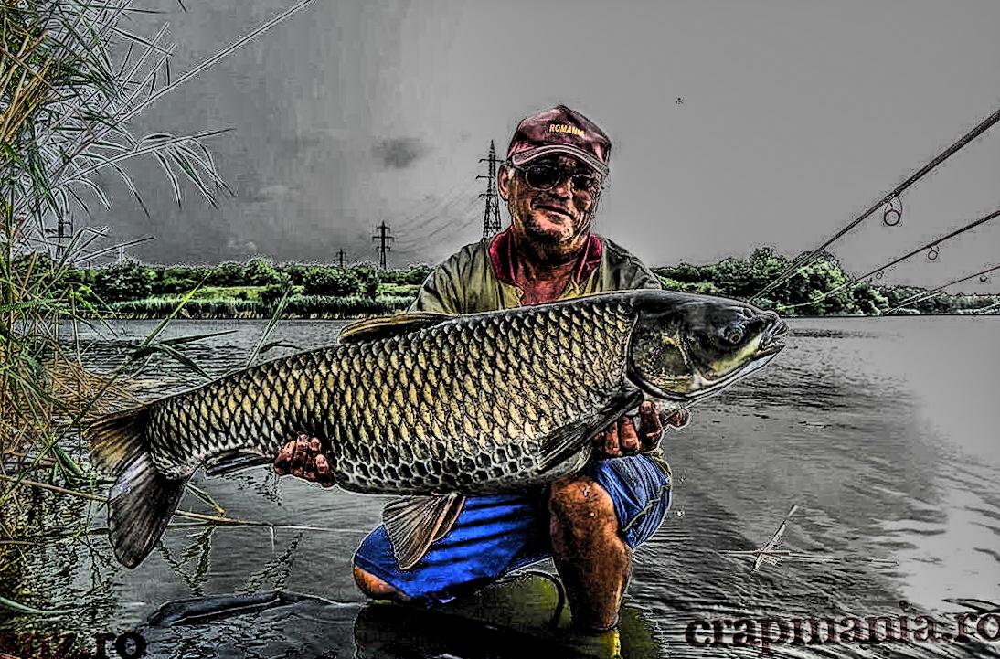 Cupa Seniorilor (2) -2013  - 1011373hdrmode2.JPG